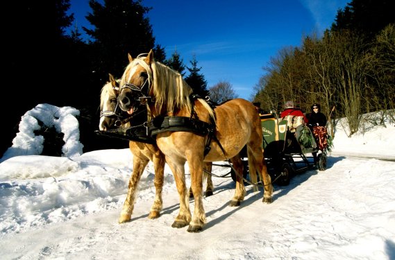 Winterberg Winterberg